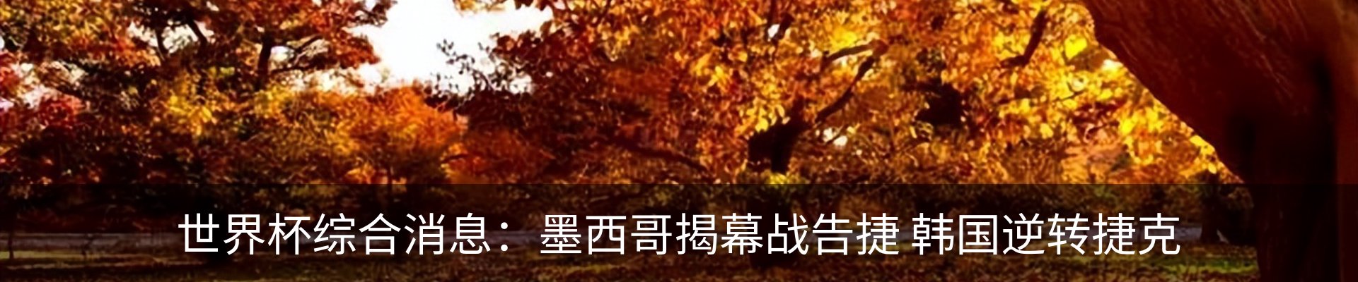 资讯动态