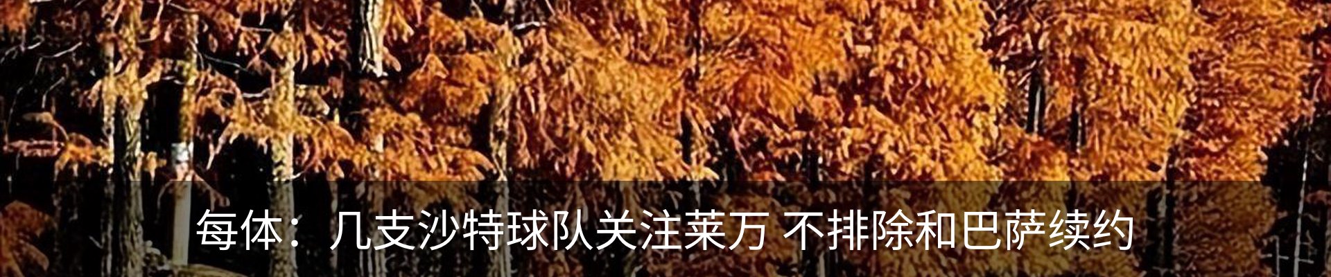 资讯动态